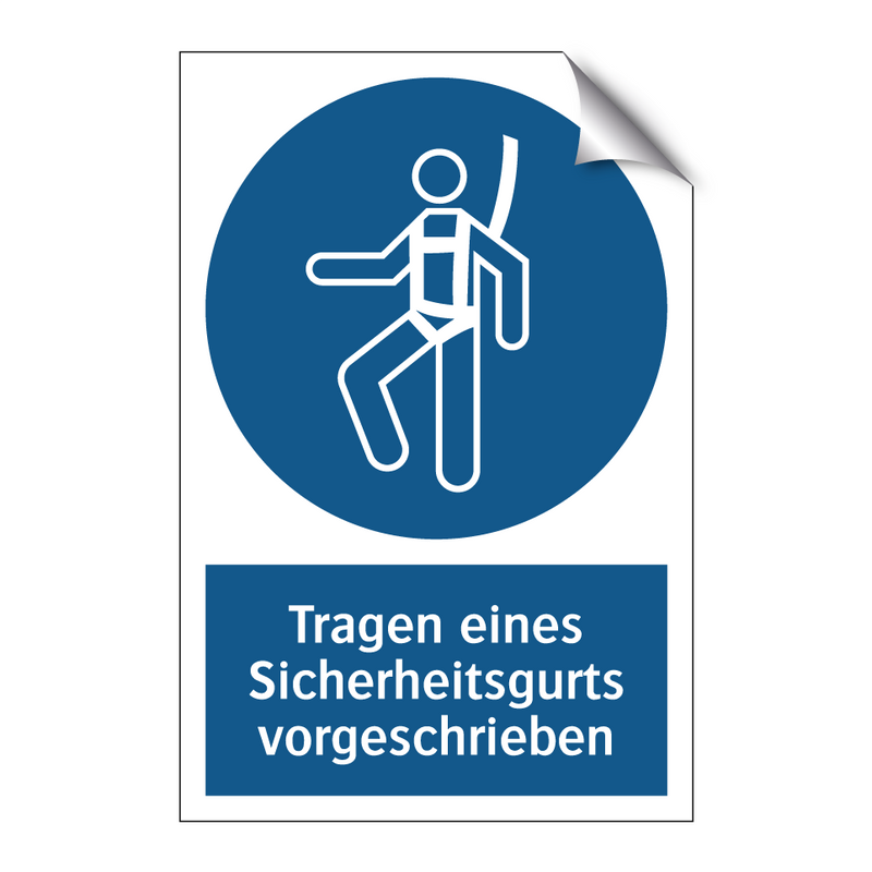 Tragen eines Sicherheitsgurts vorgeschrieben