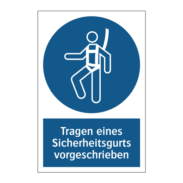 Tragen eines Sicherheitsgurts vorgeschrieben