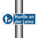 Hunde an der Leine