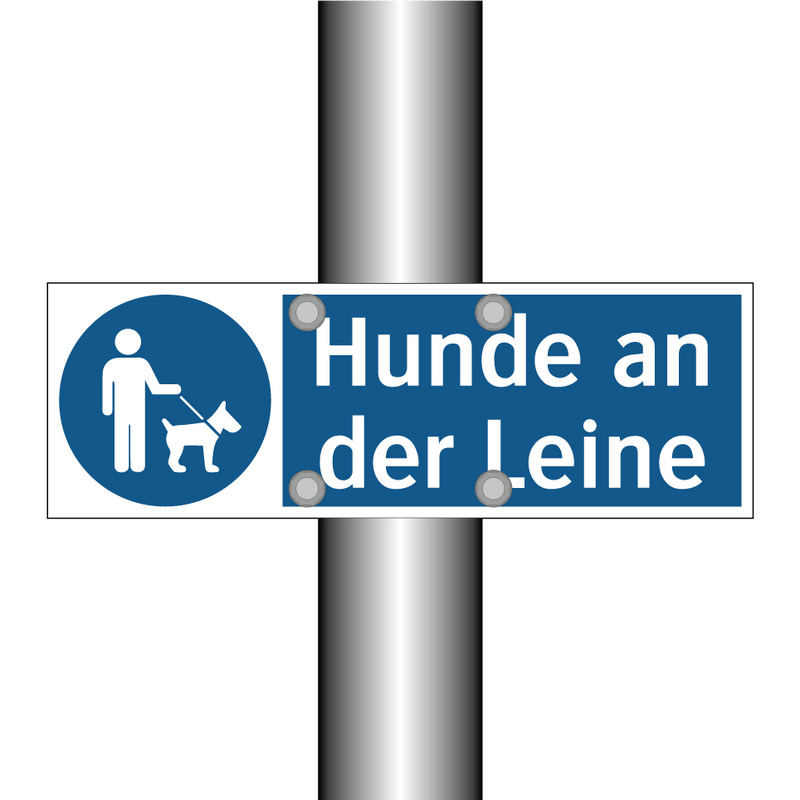 Hunde an der Leine