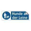 Hunde an der Leine