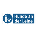 Hunde an der Leine