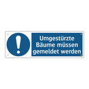 Umgestürzte Bäume müssen gemeldet werden