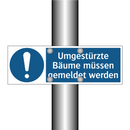 Umgestürzte Bäume müssen gemeldet werden