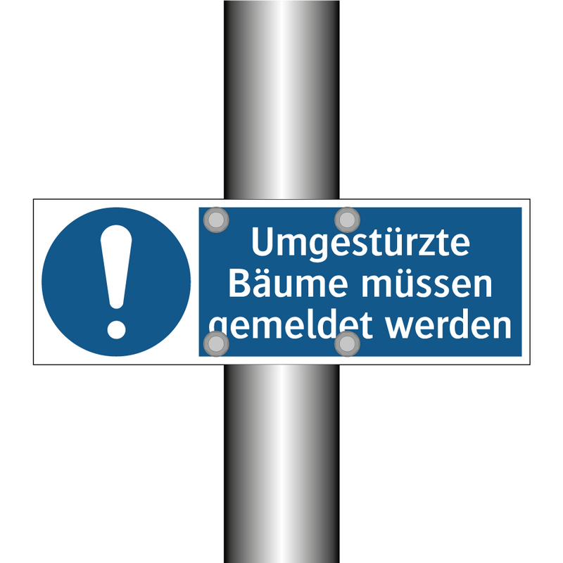 Umgestürzte Bäume müssen gemeldet werden