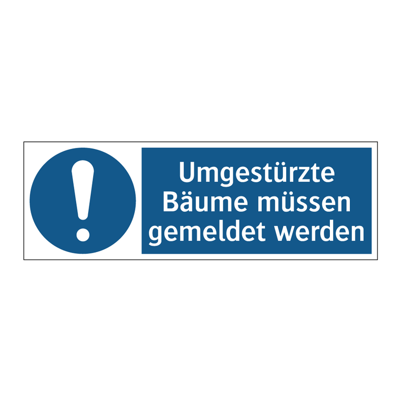 Umgestürzte Bäume müssen gemeldet werden
