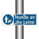 Hunde an die Leine