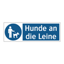 Hunde an die Leine