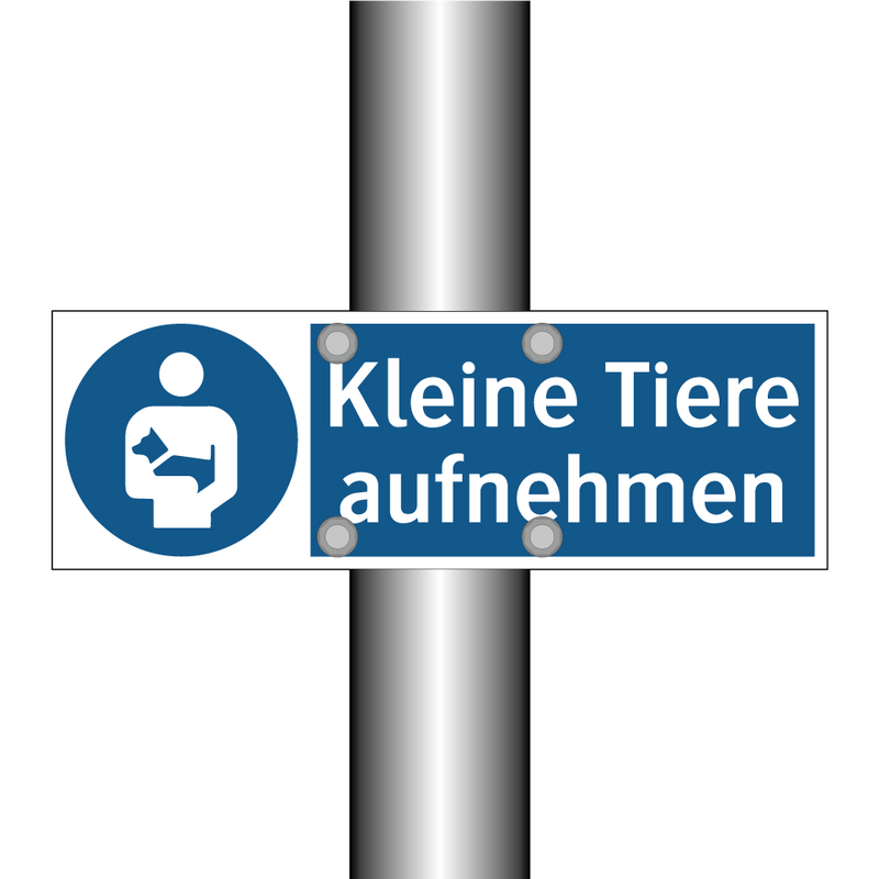 Kleine Tiere aufnehmen