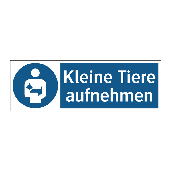 Kleine Tiere aufnehmen