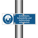 Schutzhelm, Schutzbrille und Gehörschutz erforderlich