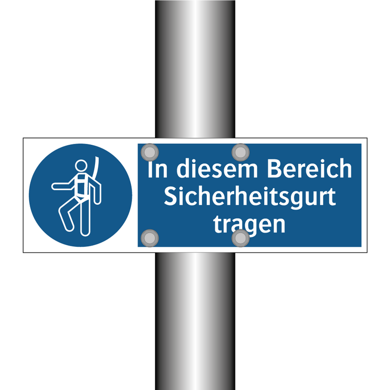 In diesem Bereich Sicherheitsgurt tragen