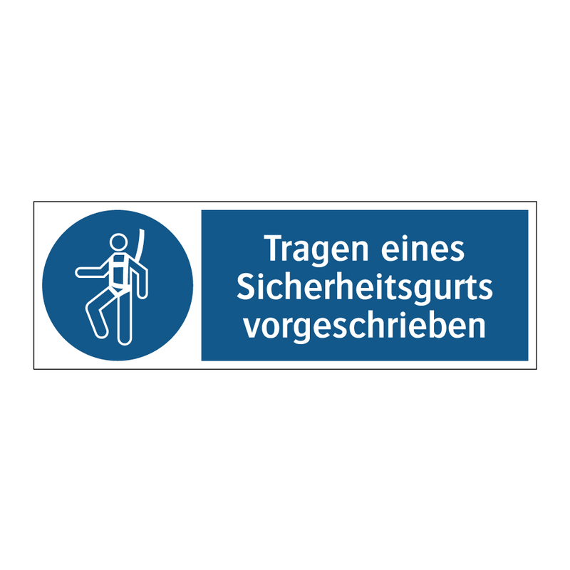 Tragen eines Sicherheitsgurts vorgeschrieben