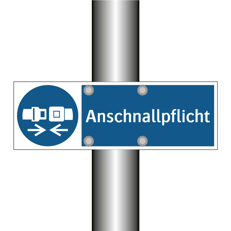 Anschnallpflicht