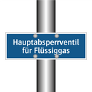 Hauptabsperrventil für Flüssiggas