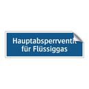 Hauptabsperrventil für Flüssiggas