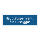Hauptabsperrventil für Flüssiggas