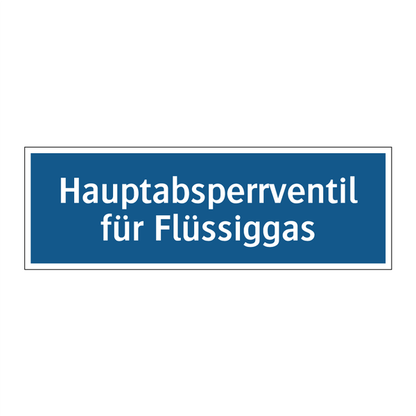 Hauptabsperrventil für Flüssiggas