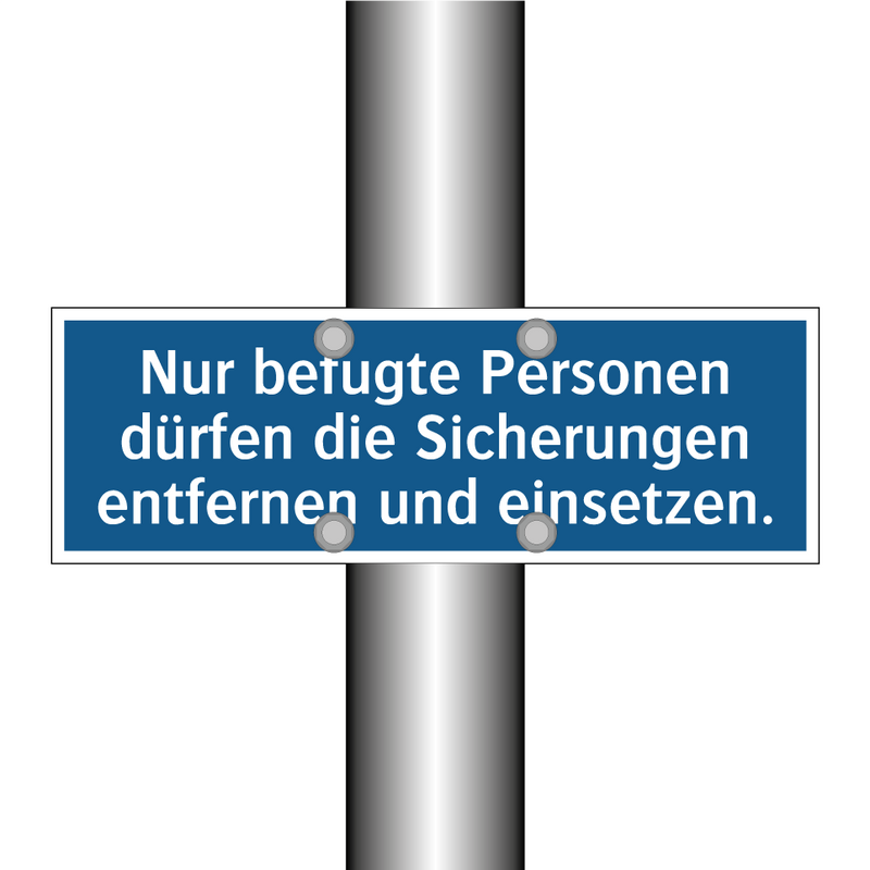 Nur befugte Personen dürfen die Sicherungen entfernen und einsetzen.