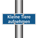 Kleine Tiere aufnehmen