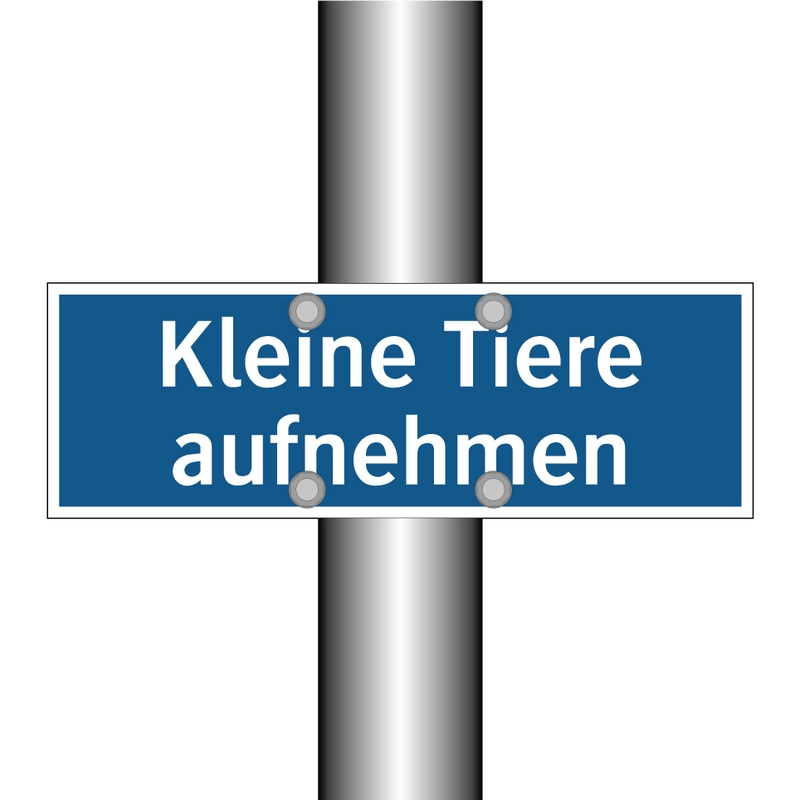 Kleine Tiere aufnehmen