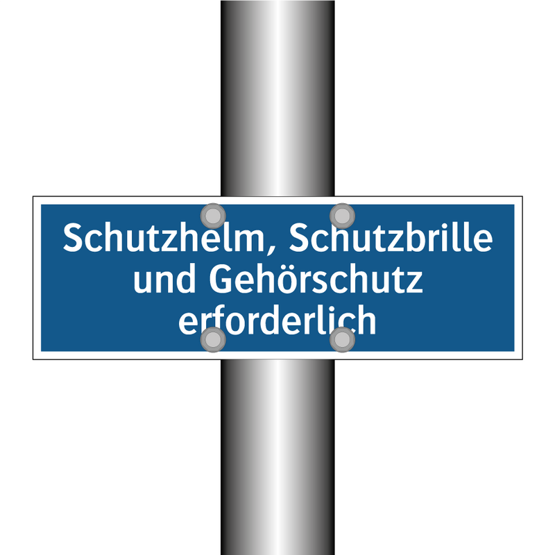 Schutzhelm, Schutzbrille und Gehörschutz erforderlich