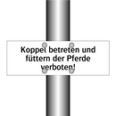 Koppel betreten und füttern der Pferde verboten!