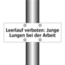 Leerlauf verboten: Junge Lungen bei der Arbeit