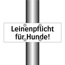 Leinenpflicht für Hunde!