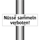 Nüsse sammeln verboten!