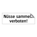 Nüsse sammeln verboten!