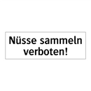 Nüsse sammeln verboten!