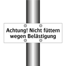 Achtung! Nicht füttern wegen Belästigung