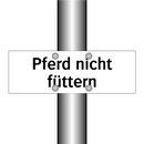 Pferd nicht füttern