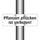 Pflanzen pflücken ist verboten!