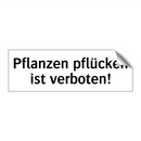 Pflanzen pflücken ist verboten!