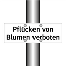 Pflücken von Blumen verboten