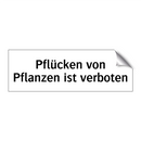 Pflücken von Pflanzen ist verboten