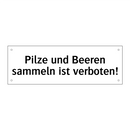 Pilze und Beeren sammeln ist verboten!