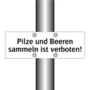 Pilze und Beeren sammeln ist verboten!