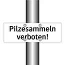 Pilzesammeln verboten!
