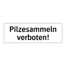 Pilzesammeln verboten!