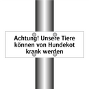 Achtung! Unsere Tiere können von Hundekot krank werden