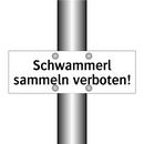 Schwammerl sammeln verboten!