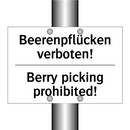 Beerenpflücken verboten! - Berry picking prohibited!