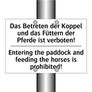 Das Betreten der Koppel und das /.../ - Entering the paddock and feeding /.../