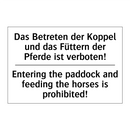 Das Betreten der Koppel und das /.../ - Entering the paddock and feeding /.../