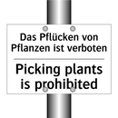 Das Pflücken von Pflanzen ist /.../ - Picking plants is prohibited