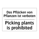Das Pflücken von Pflanzen ist /.../ - Picking plants is prohibited
