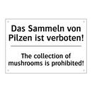 Das Sammeln von Pilzen ist verboten!/.../ - The collection of mushrooms is /.../
